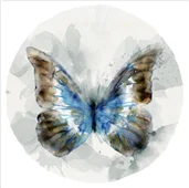 Cuadro canvas indigo butterfly II Cuadro canvas indigo butterfly II