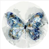 Cuadro canvas indigo butterfly III Cuadro canvas indigo butterfly III