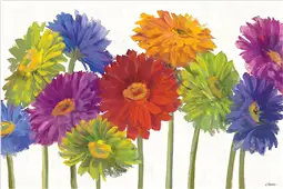 Cuadro canvas colorful gerbera daisies