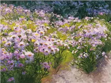 Cuadro canvas buckhorn aster show