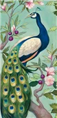 Cuadro canvas pretty peacock II Cuadro canvas pretty peacock II