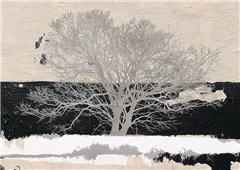 Cuadro canvas silver tree Cuadro canvas silver tree