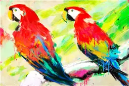 Cuadro canvas ara ara
