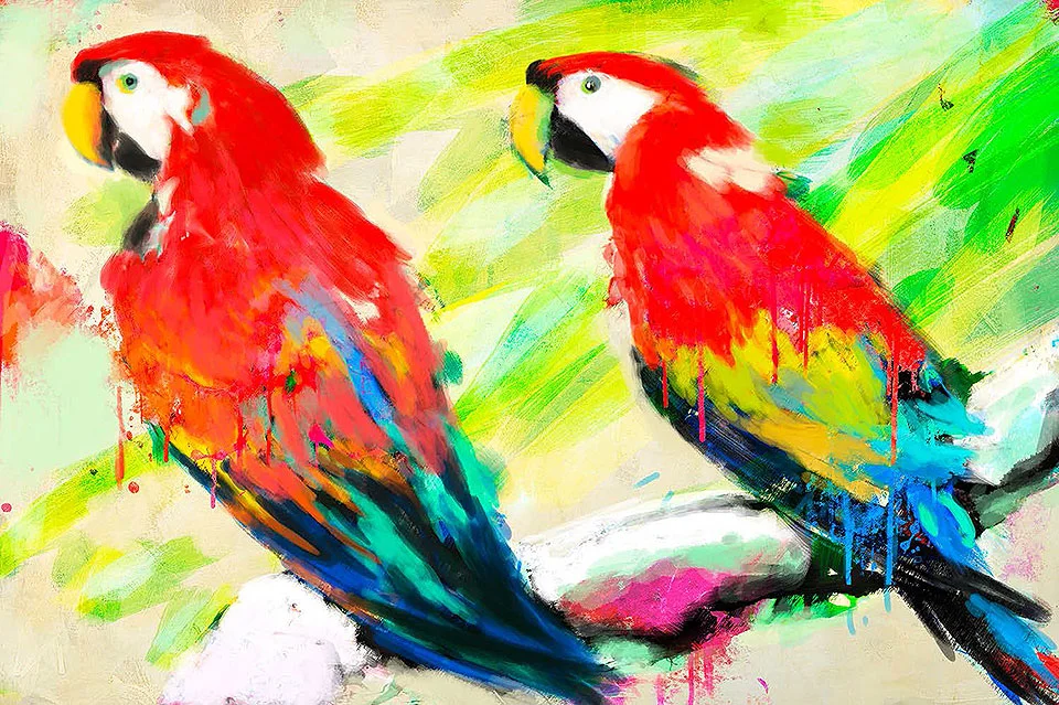 Cuadro canvas ara ara