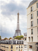 Cuadro canvas eiffel view I