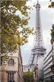 Cuadro canvas eiffel view II