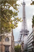 Cuadro canvas eiffel view II