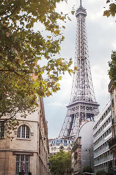 Cuadro canvas eiffel view II