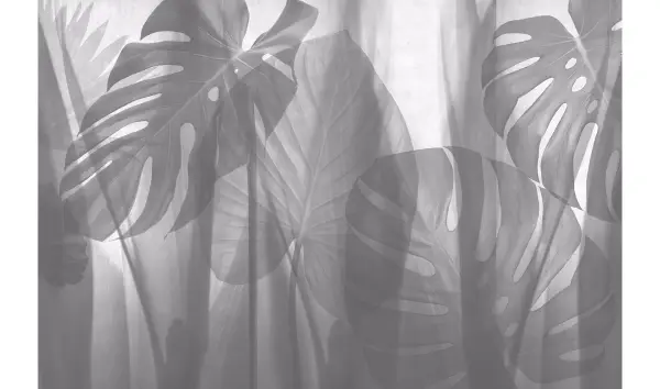Papel pintado equatorial Jungle by Glamora