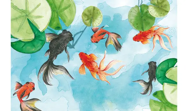 Papel pintado Goldfish Glamora Silvia Betancourt