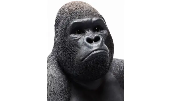 Figura decorativa Gorila mediano