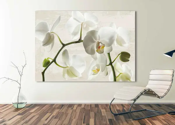 Cuadro canvas ivory orchids