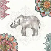 Cuadro canvas mandala morning II