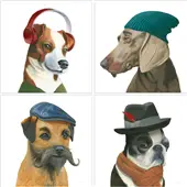 Coleccion mini canvas perritos