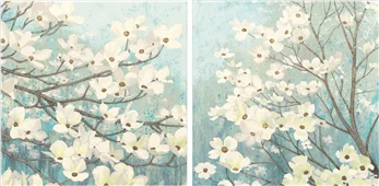 Pareja de cuadros blossoms