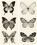 Pareja de cuadros butterfly panel