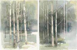 Cuadro canvas birch grove