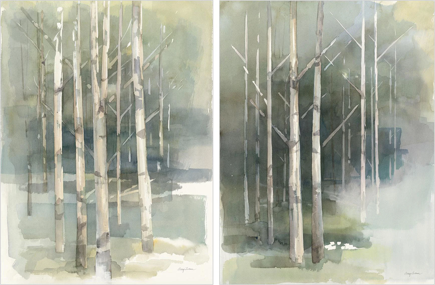 Cuadro canvas birch grove