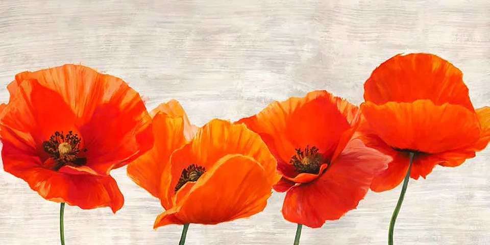 Cuadro canvas bright poppies