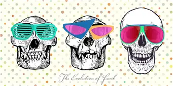 Cuadro canvas the evolution of funk