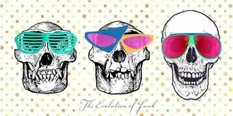 Cuadro canvas the evolution of funk