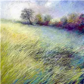 Cuadro canvas feathered field
