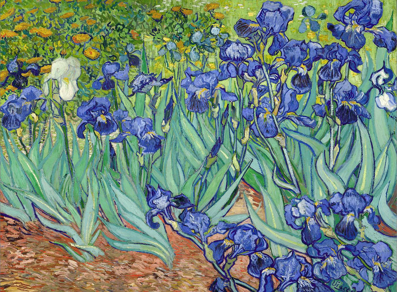 Cuadro canvas vincent van gogh lirios