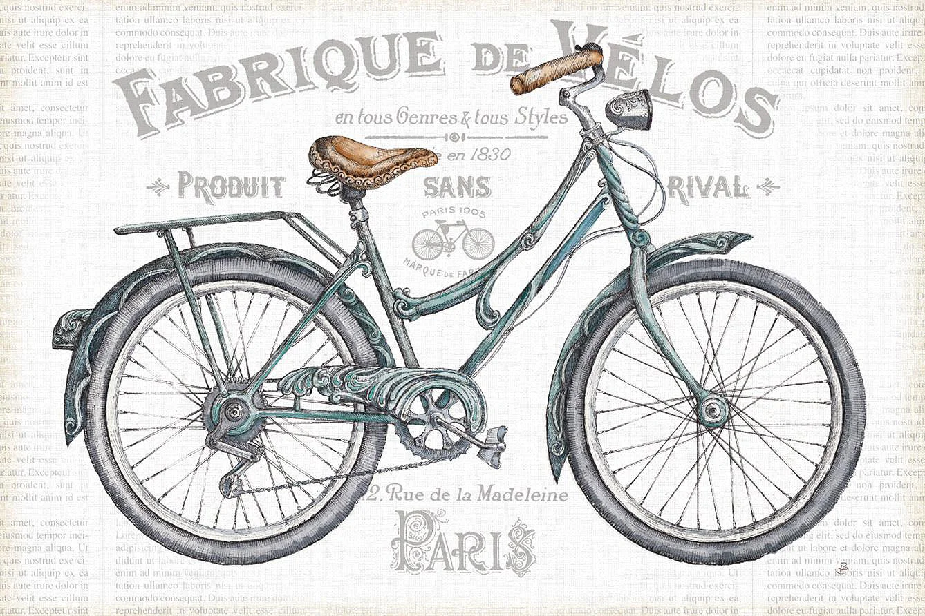 Cuadro canvas bicicleta I