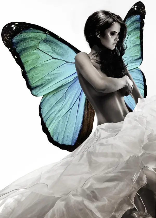 Cuadro canvas fotografia belleza alada