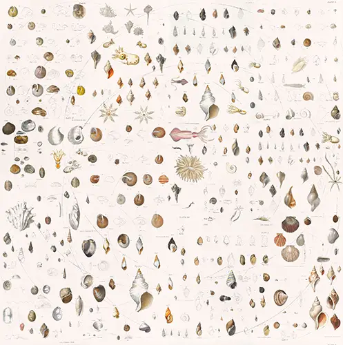 Papel pintado textil lienzo autoadhesivo Fossile