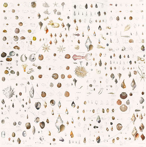 Papel pintado textil lienzo autoadhesivo Fossile
