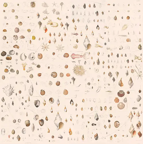 Papel pintado textil lienzo autoadhesivo Fossile
