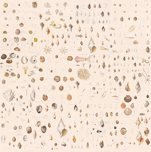 Papel pintado textil lienzo autoadhesivo Fossile