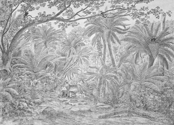 Papel vinílico linen Borneo