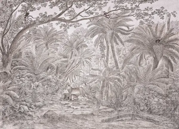 Papel vinílico linen Borneo
