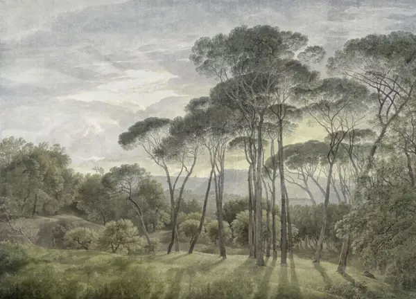 Papel vinílico linen Campagne