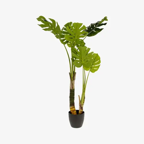 Planta artificial Monstera