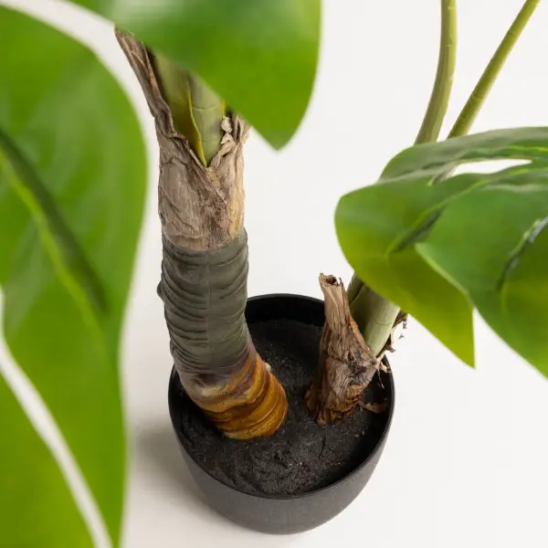 Planta artificial Monstera
