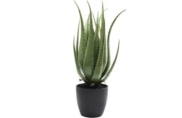 Planta decorativa Aloe 69cm natural