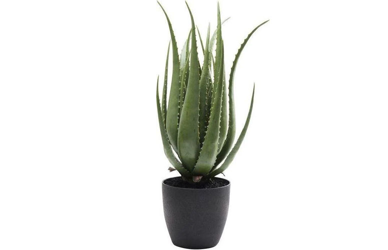 Planta decorativa Aloe 69cm natural