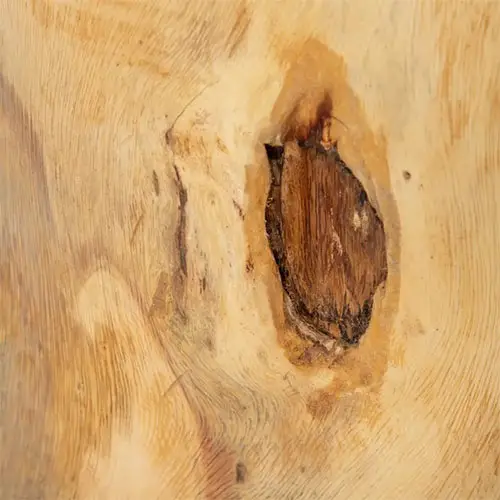 Mesa de centro de madera de suar natural