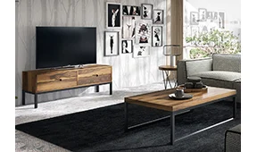 Salón industrial Loft III