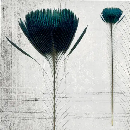 Papel pintado Pluma de pavo by Inkistro