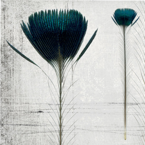 Papel pintado Pluma de pavo by Inkistro