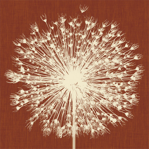 Papel pintado Breath by Inkiostro