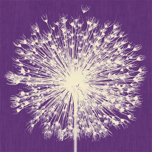 Papel pintado Breath by Inkiostro