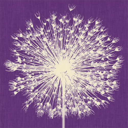 Papel pintado Breath by Inkiostro
