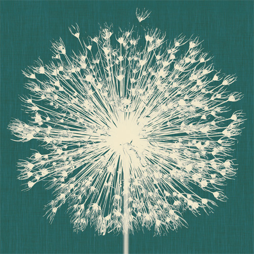 Papel pintado Breath by Inkiostro