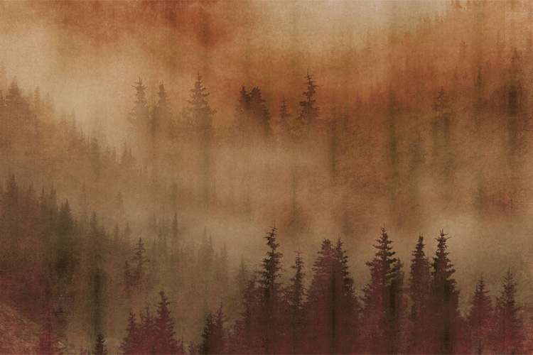 Papel pintado Mist by Inkiostro