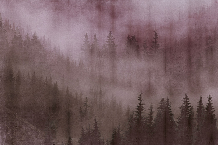 Papel pintado Mist by Inkiostro